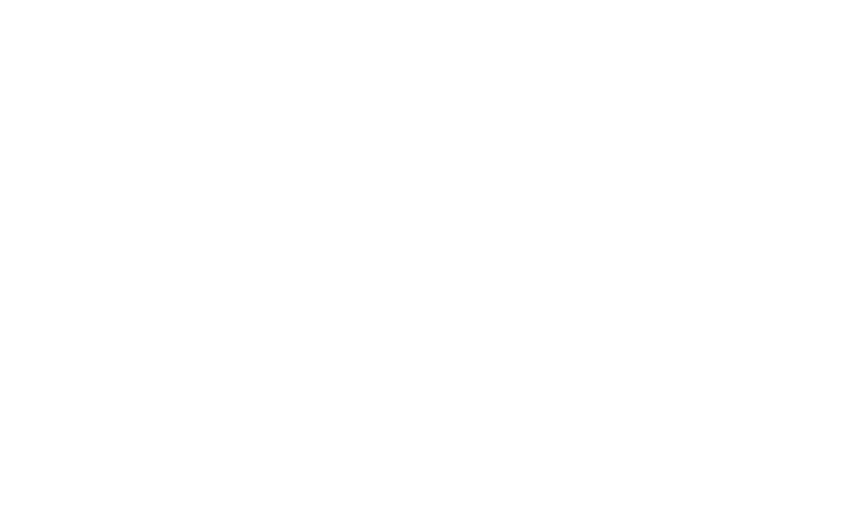 logo/image